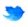 Twitter Caserta
