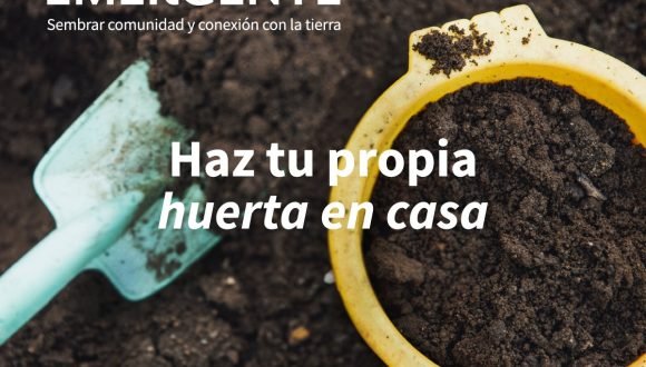 Descubre cómo cultivar en tu jardín con nuestro manual “Huerta Emergente” #AprendoEnCasa Descubre cómo cultivar en tu jardín con nuestro manual “Huerta Emergente” #AprendoEnCasa